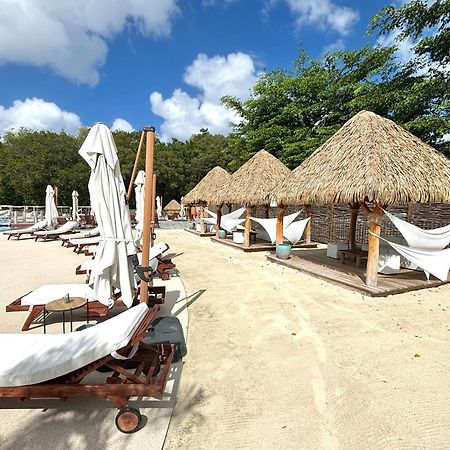 La Ruche De Maia - Blue Dream Beach - Piscine - Jardin - Plage Grand-Bourg  ภายนอก รูปภาพ