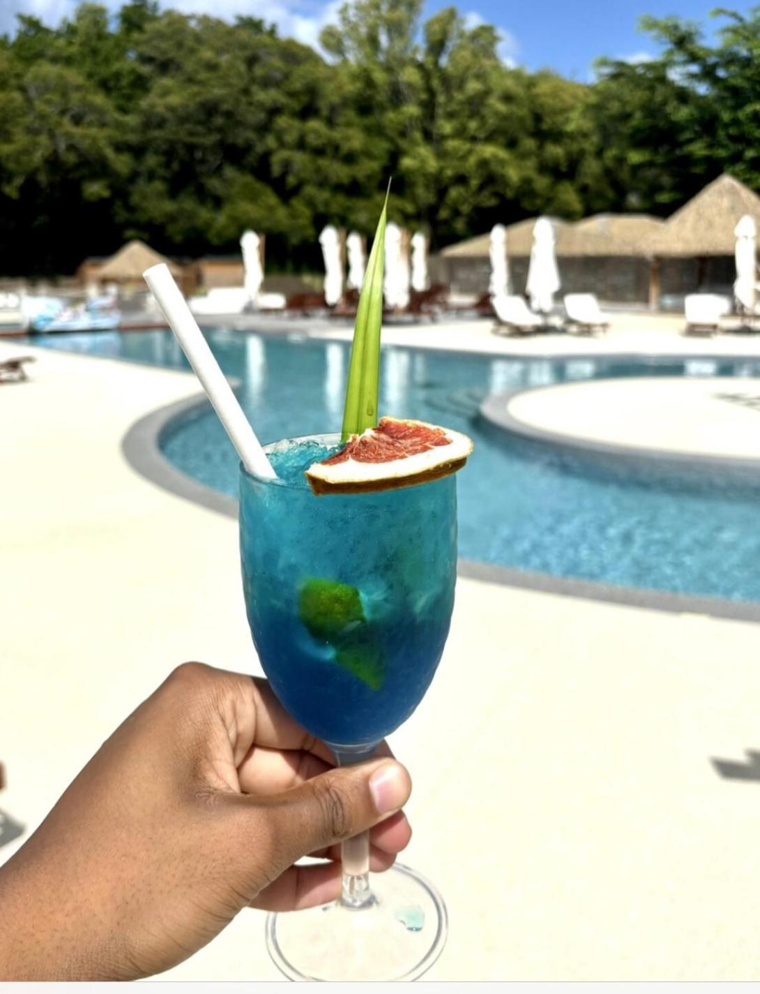 La Ruche De Maia - Blue Dream Beach - Piscine - Jardin - Plage Grand-Bourg  ภายนอก รูปภาพ