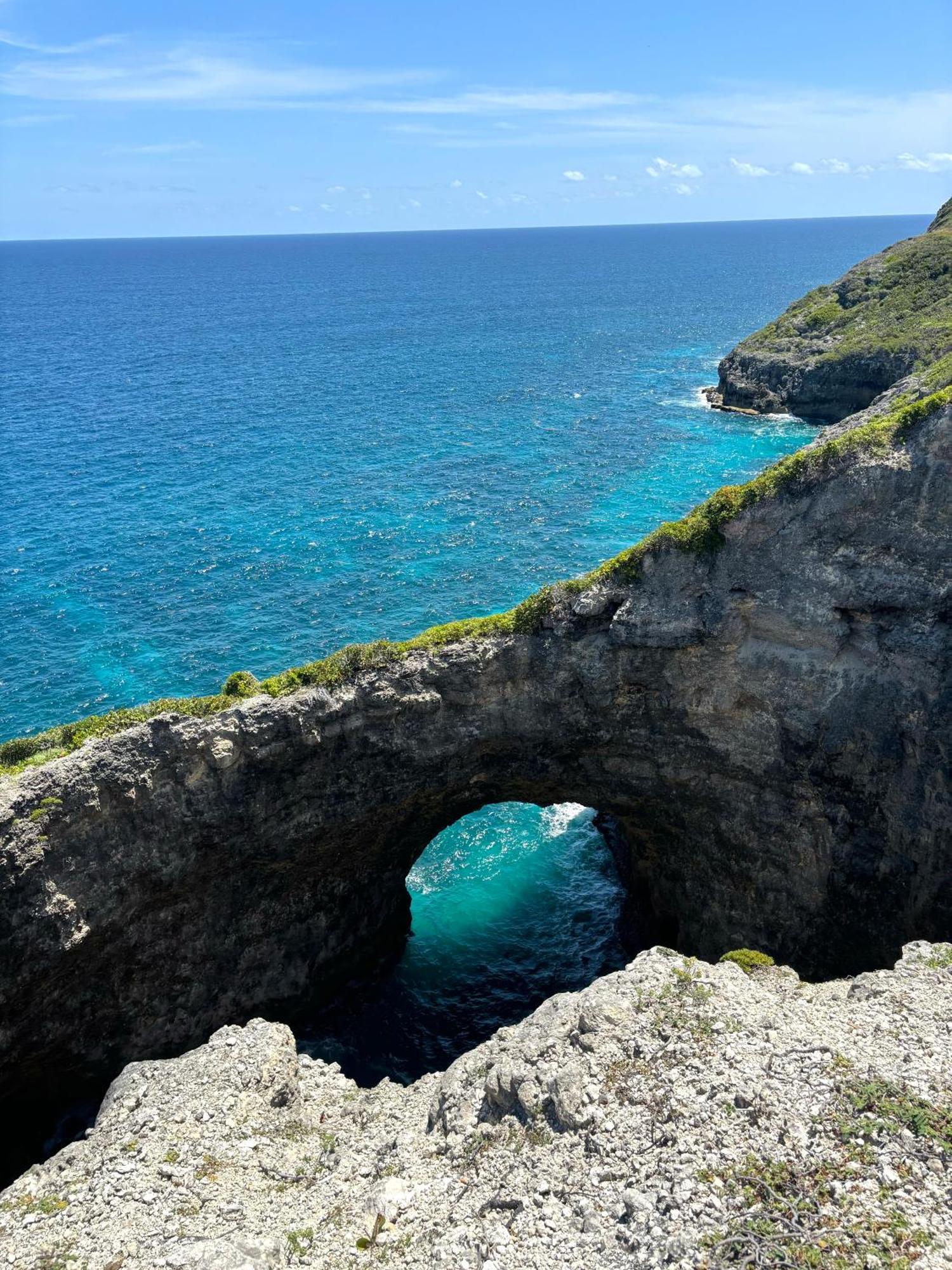 La Ruche De Maia - Blue Dream Beach - Piscine - Jardin - Plage Grand-Bourg  ภายนอก รูปภาพ