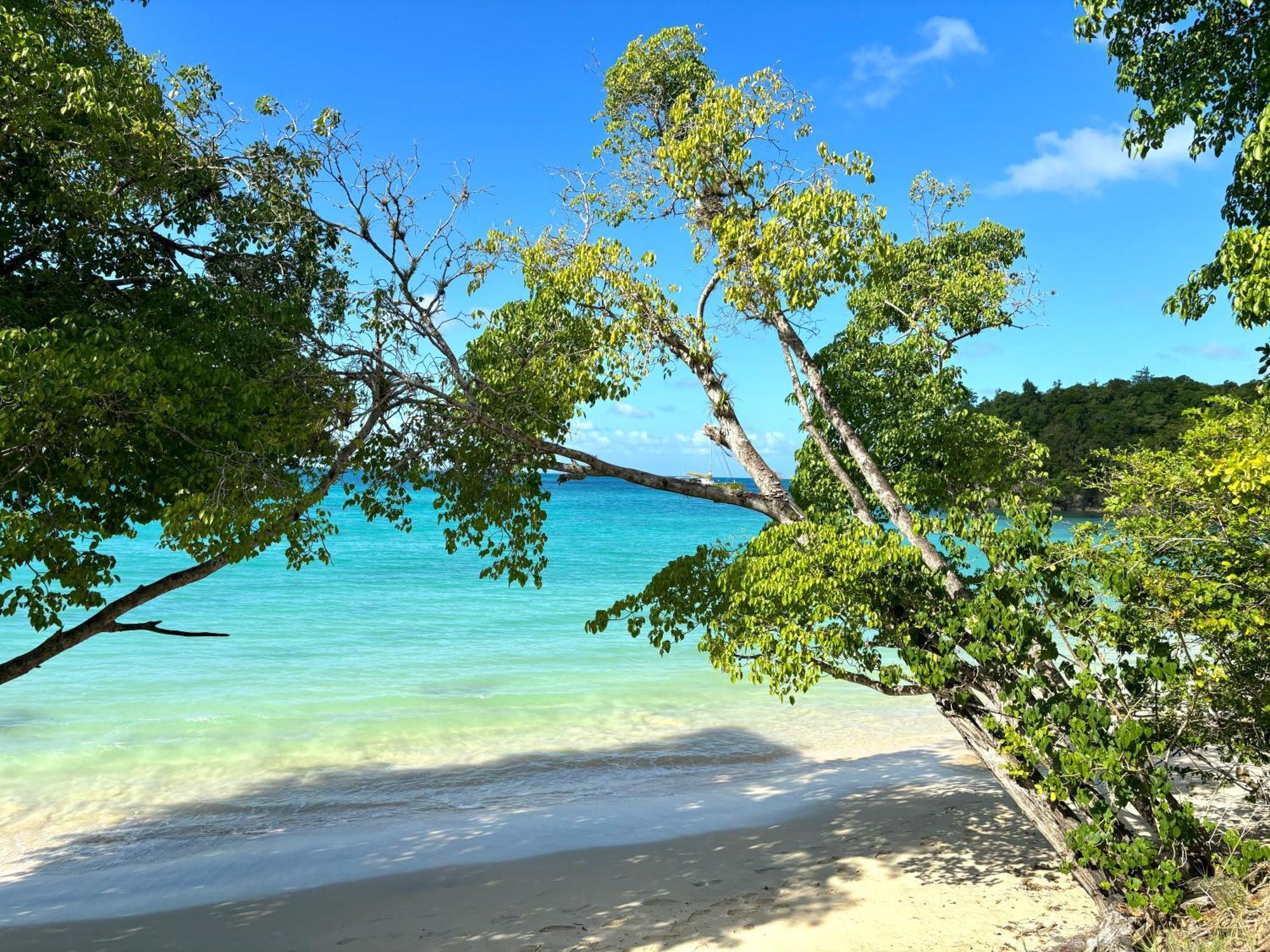 La Ruche De Maia - Blue Dream Beach - Piscine - Jardin - Plage Grand-Bourg  ภายนอก รูปภาพ